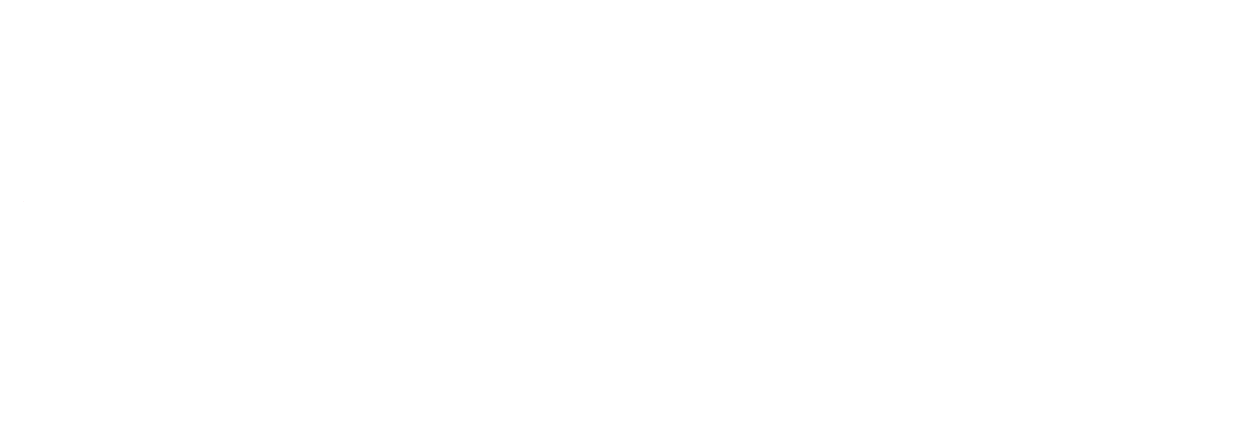Logo footer